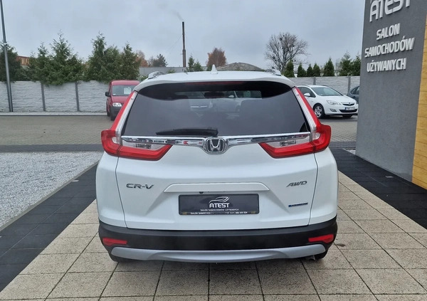 Honda CR-V cena 149900 przebieg: 23000, rok produkcji 2019 z Czerwionka-Leszczyny małe 407
